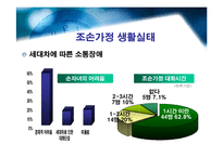 [아동복지] 조손가정에 대한 연구 -조부모를 중심으로-9