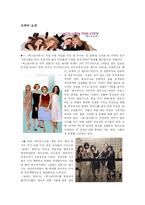 [미디어와 젠더] 드라마 속 한국 여성 - `로맨스헌터`와 `섹스&시티` 비교를 통하여-2