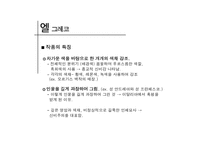 스페인 르네상스-9