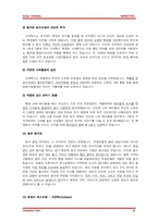 [마케팅] 직장여성(골드미스족)을 위한 신개념의 문화 공간 사업계획-18