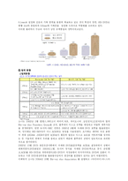 차세대 DVD 표준 경쟁-5