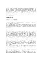 [전략경영] 트렉스타 성공요인 분석-6