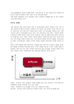 [전략경영] 트렉스타 성공요인 분석-7