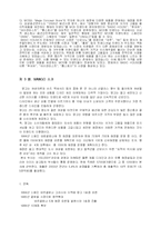 [패션마케팅] MANGO와의 비교분석으로 본 베이직하우스(BASIC HOUSE)의 마케팅방안-6