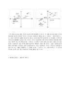 [패션마케팅] MANGO와의 비교분석으로 본 베이직하우스(BASIC HOUSE)의 마케팅방안-16