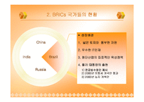 [경제사] BRICs 브릭스-4