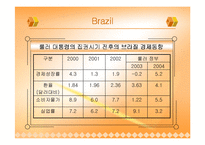 [경제사] BRICs 브릭스-5