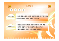 [경제사] BRICs 브릭스-6