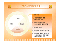 [경제사] BRICs 브릭스-11