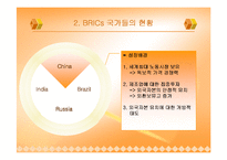 [경제사] BRICs 브릭스-14