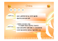 [경제사] BRICs 브릭스-16