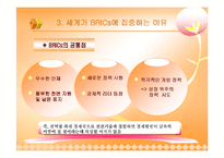 [경제사] BRICs 브릭스-17