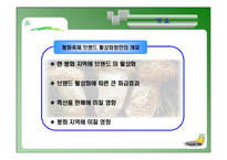 [관광경영] 봉화군의 축제 브랜드 활성화 방안-봉화송이축제, 봉화은어축제 중심- PPT-4