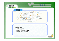 [관광경영] 봉화군의 축제 브랜드 활성화 방안-봉화송이축제, 봉화은어축제 중심- PPT-7