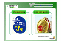 [관광경영] 봉화군의 축제 브랜드 활성화 방안-봉화송이축제, 봉화은어축제 중심- PPT-19