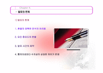 [금융] 최근 원달러 환율의 추이와 해석-17