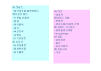 [마케팅] 기업 경영의 새로운 모색 - 이랜드의 사례분석-8