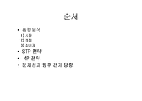 [마케팅] 프리미엄 샴푸시장의 선두주자 - 팬틴 분석-2