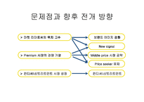 [마케팅] 프리미엄 샴푸시장의 선두주자 - 팬틴 분석-10