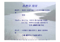 [사회복지] 하천 복원 사업의 필요성과 사례분석-3