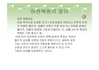 [사회복지] 하천 복원 사업의 필요성과 사례분석-4