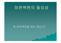 [사회복지] 하천 복원 사업의 필요성과 사례분석-5