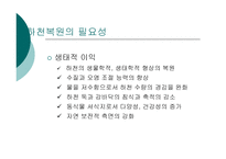 [사회복지] 하천 복원 사업의 필요성과 사례분석-6
