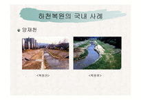 [사회복지] 하천 복원 사업의 필요성과 사례분석-19