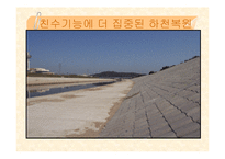 [사회복지] 하천 복원 사업의 필요성과 사례분석-20