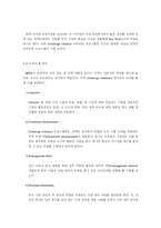 [인사관리] Management Trainee 채용 및 개발 프로그램을 통한 인재 확보 및 육성 효과 -BAT사례를 통해 알아본 MT 프로그램-10