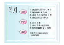[국제경영] 남양알로에 해외진출-2