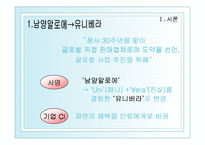 [국제경영] 남양알로에 해외진출-3
