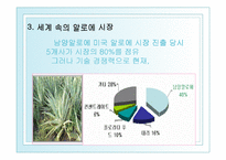 [국제경영] 남양알로에 해외진출-5