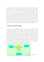 총각네 야채가게 이영석 사장의 성공적인 기업 경영-12