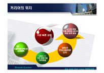 [마케팅] 잡코리아와의 비교분석을 통한 커리어의 전략방안-6