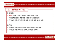 콜드스톤(Cold Stone) 광고기획서-8