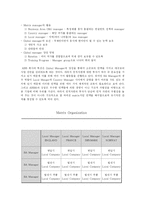 [국제경영] ABB 사례 분석 -연쇄 반응과 Global Vector-3