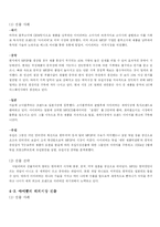 [국제경영] 아이리버와 아이팟 비교분석-6