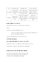 [국제경영] 모토로라 vs 애니콜 비교분석-16