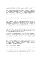 [다국적기업론] 맥킨지 & 컴퍼니 -지식과 학습의 경영-15