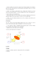 [글로벌경영] 하나코비(주) 락앤락 국제경영 사례분석-17