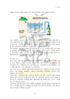 [마케팅전략] 두산 `처음처럼`이 성공할 수 있었던 요인과 앞으로 나아가야 할 방향-17