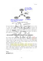 [마케팅전략] 두산 `처음처럼`이 성공할 수 있었던 요인과 앞으로 나아가야 할 방향-20