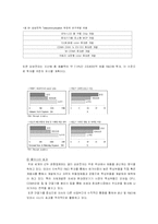 [국제경영] 노키아 vs 애니콜 비교분석-13