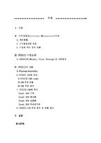 [경영] 지식경영을 통한 POSCO(포스코)의 경영 성공 사례-2