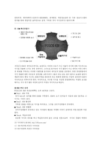 [경영] 지식경영을 통한 POSCO(포스코)의 경영 성공 사례-12