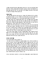 [국제경영] 나이키 vs 아디다스 비교분석-4