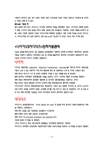 [국제경영] 나이키 vs 아디다스 비교분석-13