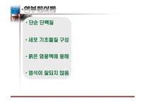 달걀 알부민의 제조-3
