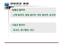 달걀 알부민의 제조-4